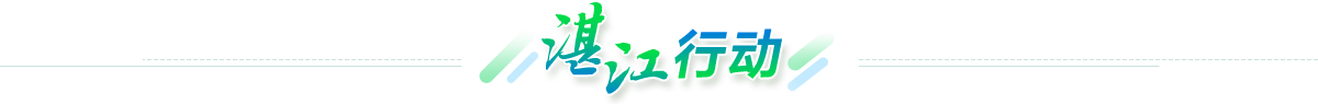 湛江行动